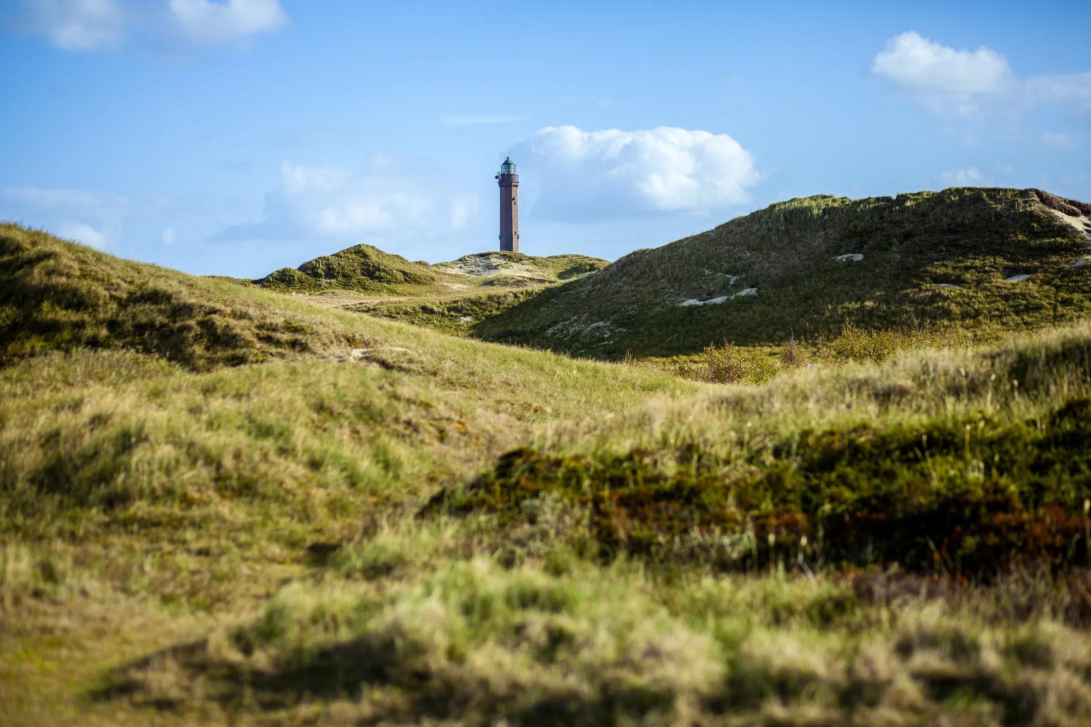 Leuchtturm Norderney zwischen den Dünen unter blauem Himmel